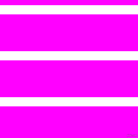 horizontal lines stripes, 32 pixel line width, 128 pixel line spacing, White and Magenta horizontal lines and stripes seamless tileable