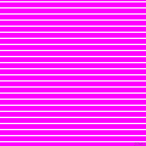 horizontal lines stripes, 4 pixel line width, 16 pixel line spacing, White and Magenta horizontal lines and stripes seamless tileable