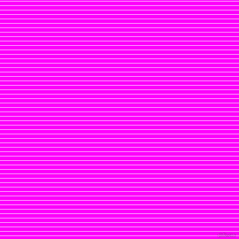 horizontal lines stripes, 1 pixel line width, 8 pixel line spacing, White and Magenta horizontal lines and stripes seamless tileable
