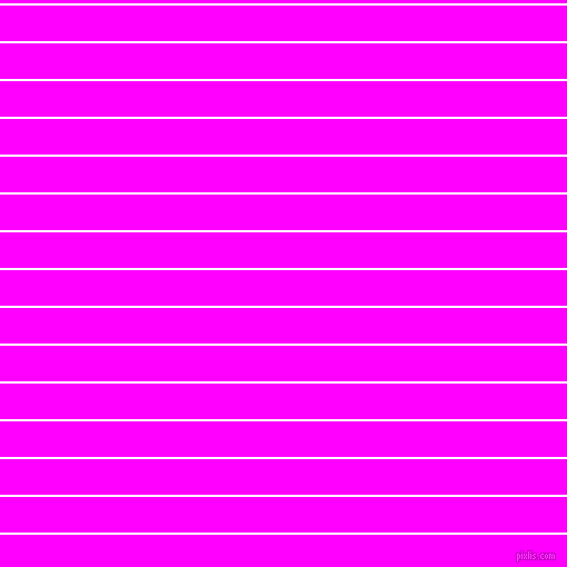 horizontal lines stripes, 2 pixel line width, 32 pixel line spacing, White and Magenta horizontal lines and stripes seamless tileable