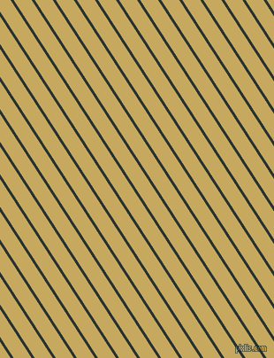 123 degree angle lines stripes, 3 pixel line width, 17 pixel line spacing, stripes and lines seamless tileable