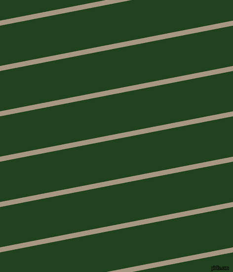 11 degree angle lines stripes, 10 pixel line width, 80 pixel line spacing, stripes and lines seamless tileable