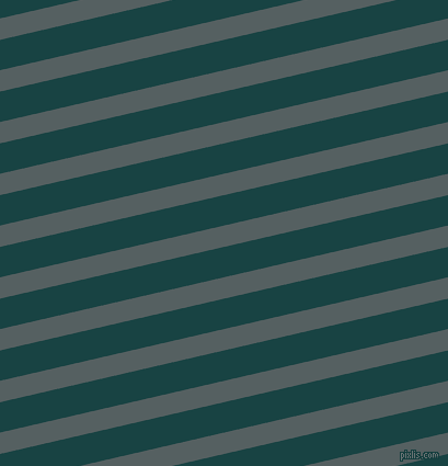 13 degree angle lines stripes, 19 pixel line width, 27 pixel line spacing, stripes and lines seamless tileable
