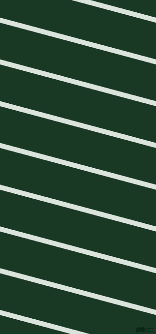 165 degree angle lines stripes, 10 pixel line width, 72 pixel line spacing, Aqua Squeeze and Deep Fir stripes and lines seamless tileable
