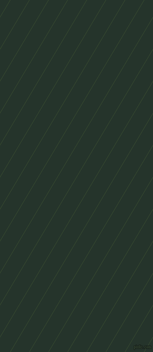 59 degree angle lines stripes, 1 pixel line width, 32 pixel line spacing, Palm Leaf and Holly stripes and lines seamless tileable