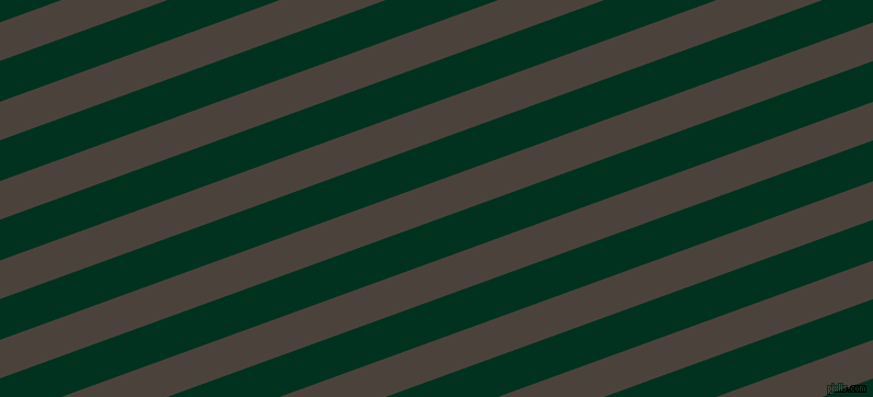 20 degree angle lines stripes, 33 pixel line width, 35 pixel line spacing, Space Shuttle and Dark Green stripes and lines seamless tileable