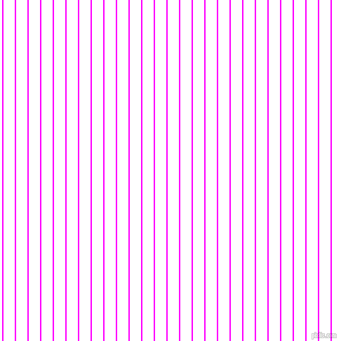 vertical lines stripes, 2 pixel line width, 16 pixel line spacing, Magenta and White vertical lines and stripes seamless tileable